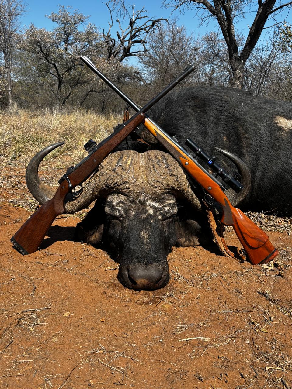 πͺπΈ From Spain to South Africa β A Safari They'll Never Forget π¦¬π
gallery image