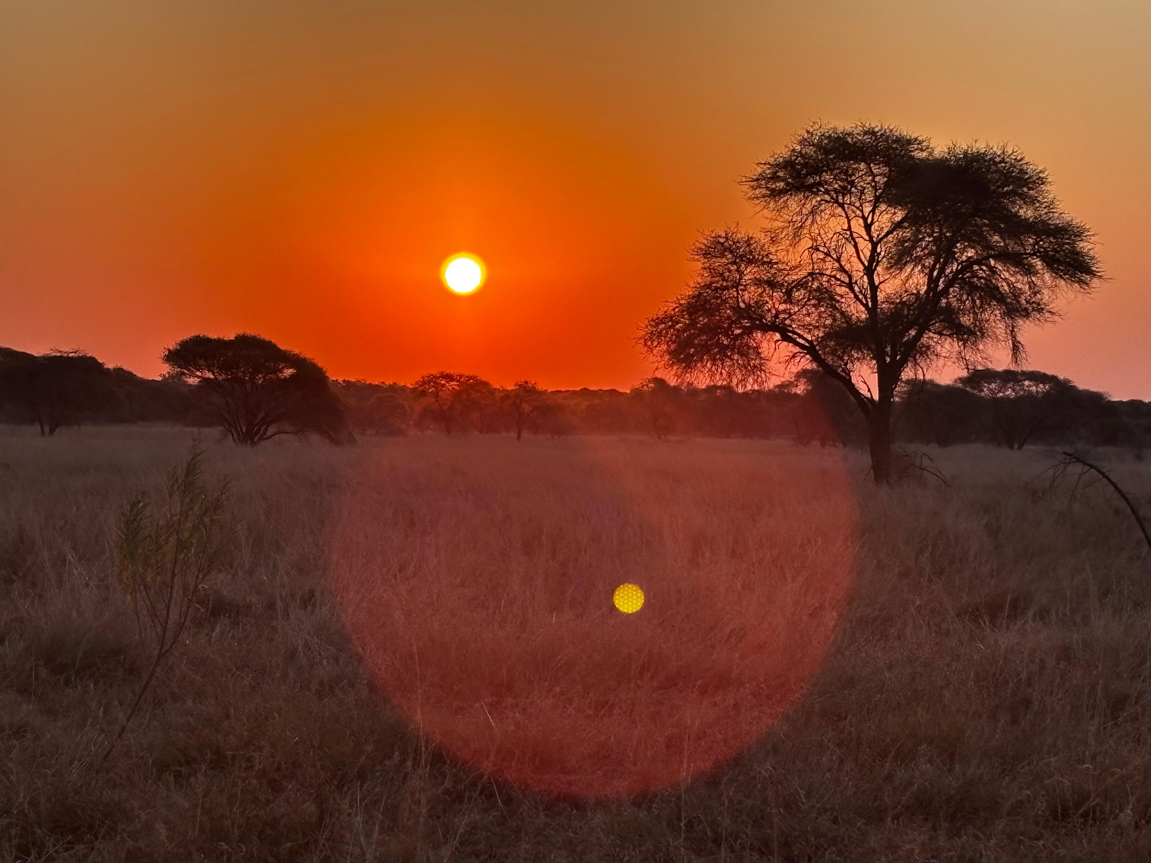 πͺπΈ From Spain to South Africa β A Safari They'll Never Forget π¦¬π
gallery image