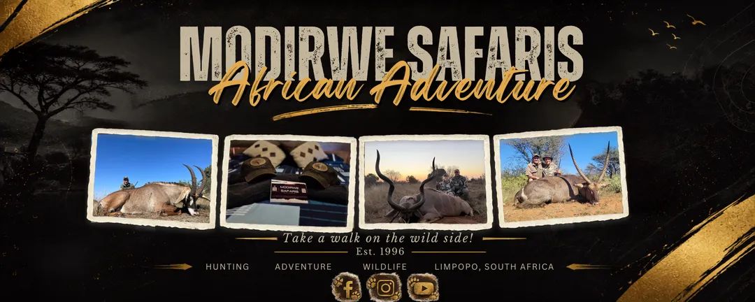SOUTH AFRICA: Modirwe Safaris July 2026