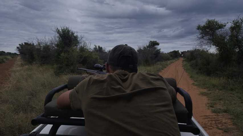 What to Expect on a Limpopo Hunting Safari: From First Light to a Bush Sundowner gallery image
