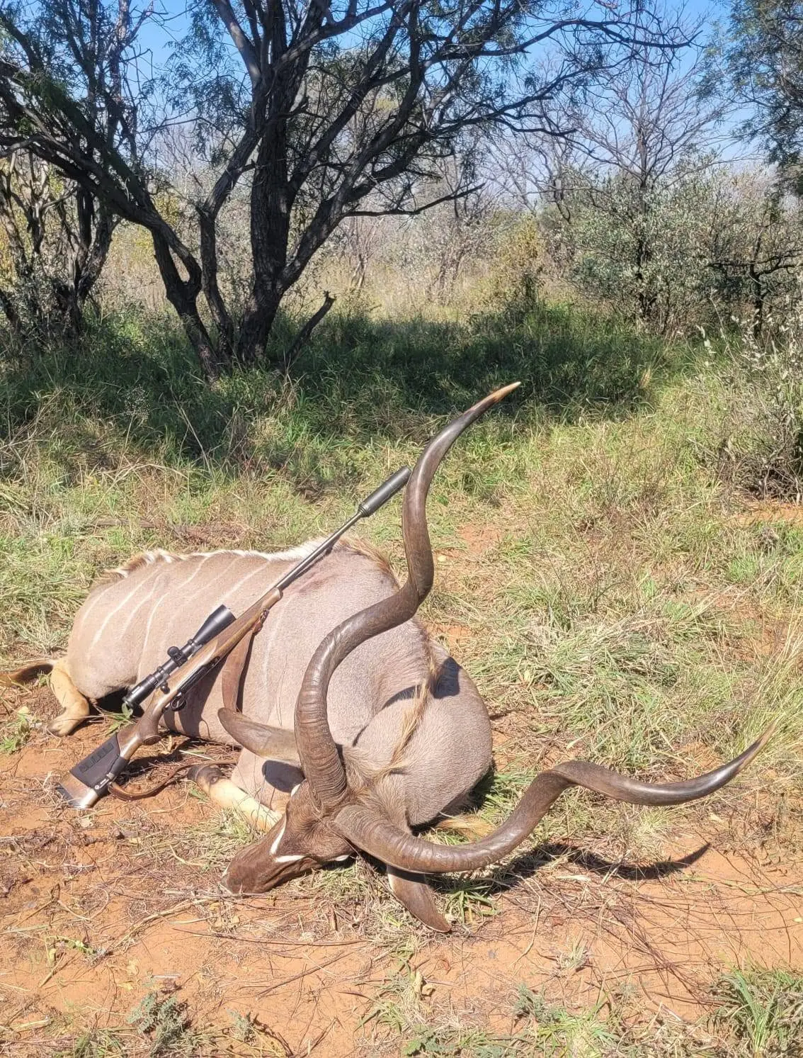 Hunting the Grey Ghost: Greater Kudu Hunting in Limpopo, South Africa gallery image