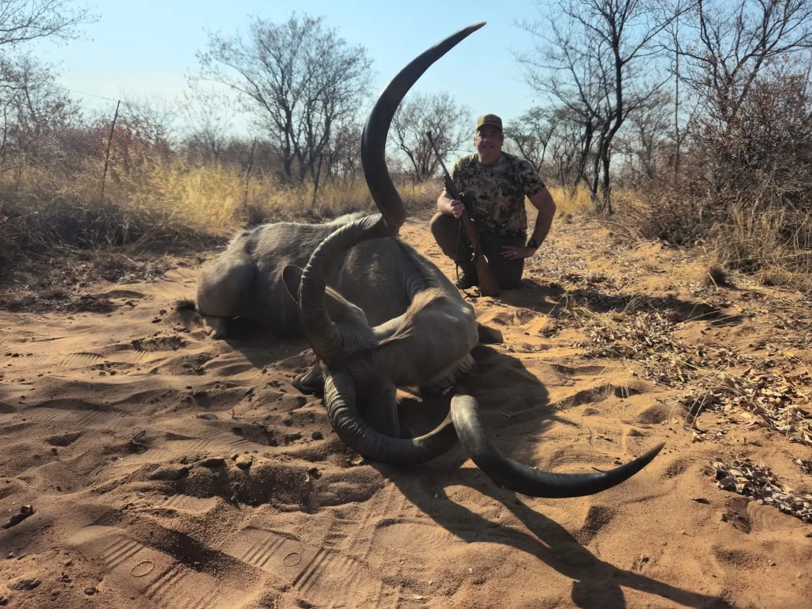 Hunting the Grey Ghost: Greater Kudu Hunting in Limpopo, South Africa gallery image