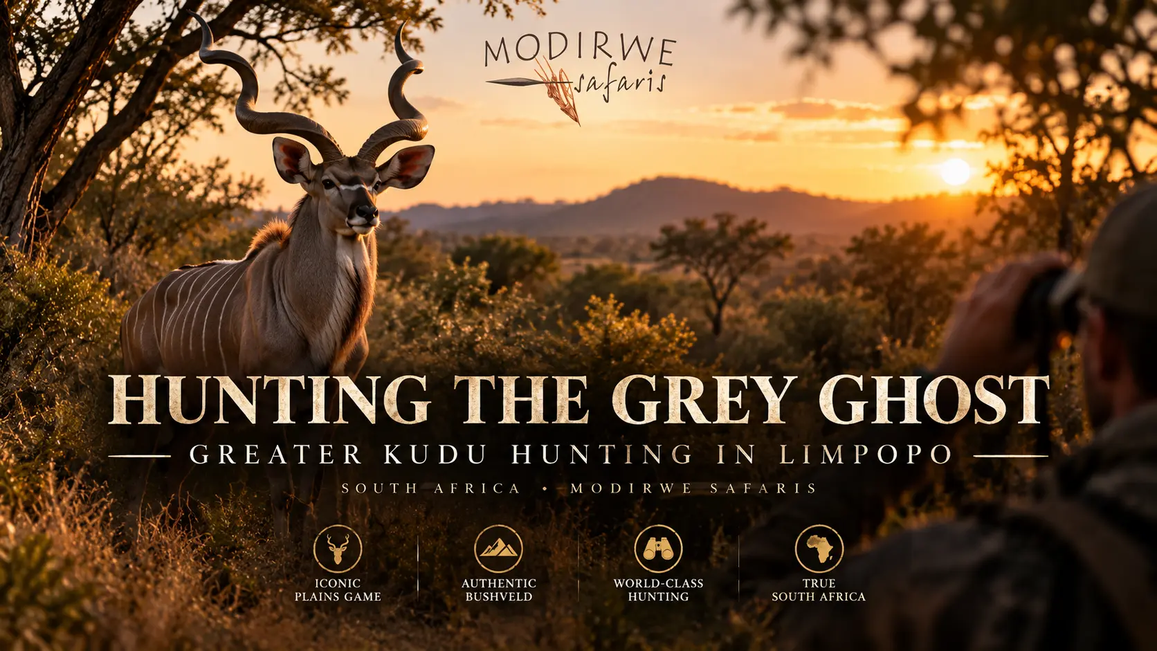 Hunting the Grey Ghost: Greater Kudu Hunting in Limpopo, South Africa