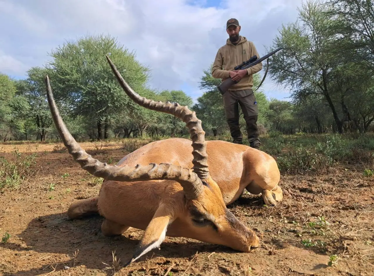 Plains Game Safari in South Africa: Impala, Blue Wildebeest & Zebra gallery image