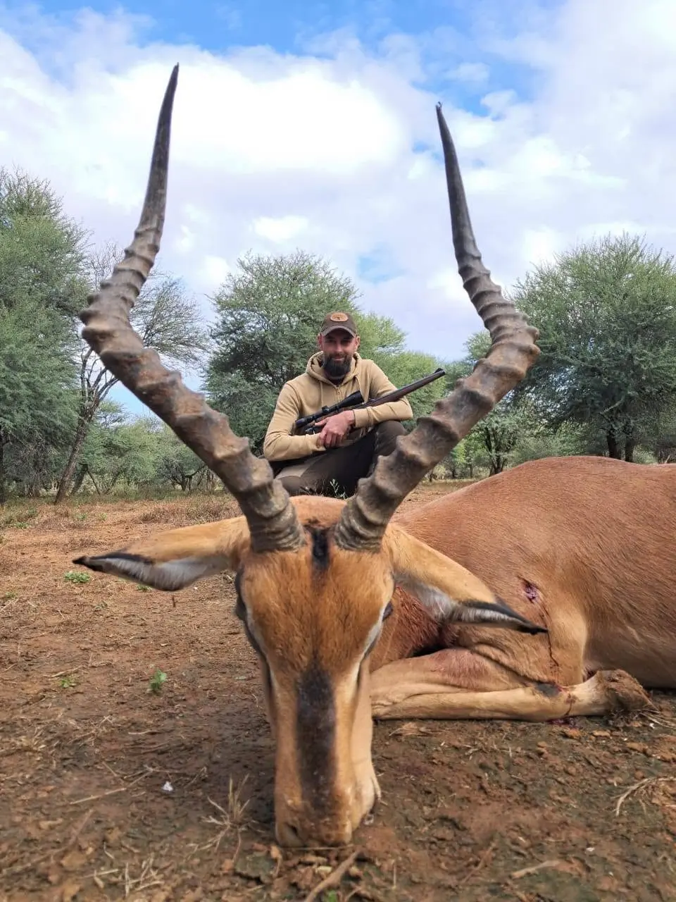 Plains Game Safari in South Africa: Impala, Blue Wildebeest & Zebra gallery image
