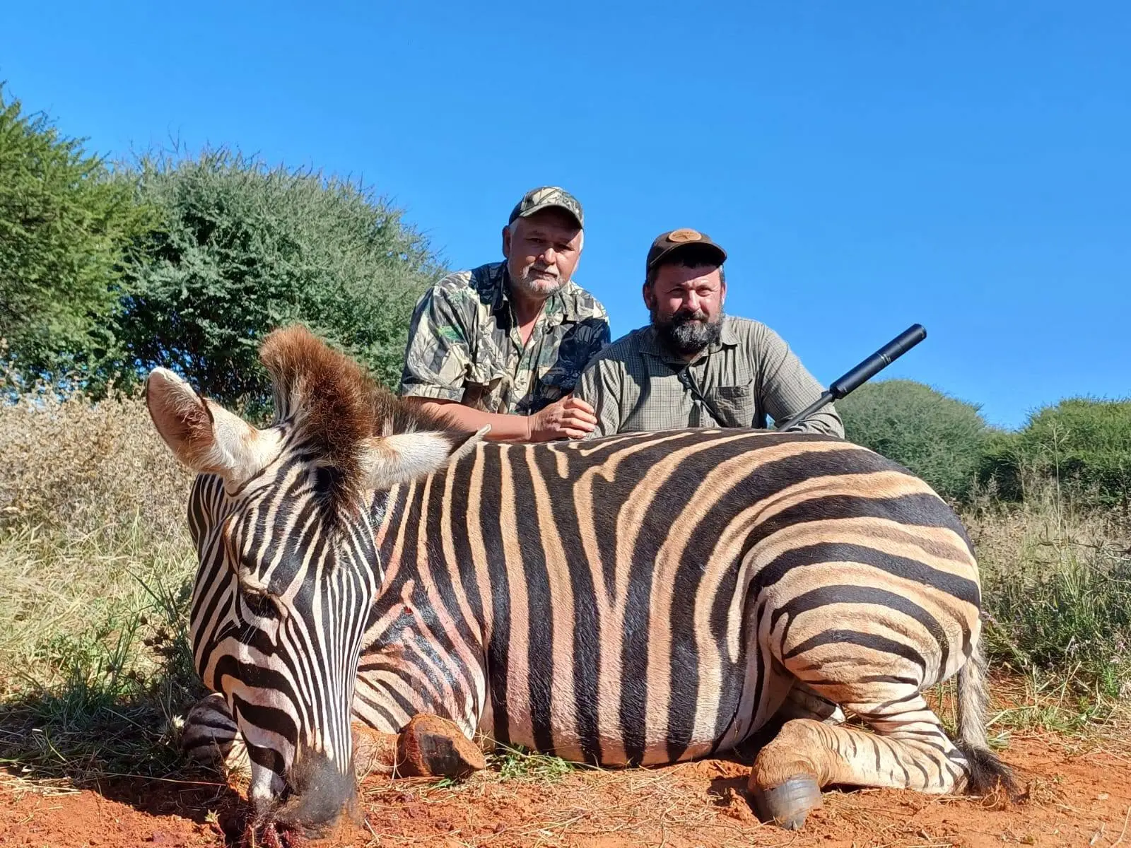 Plains Game Safari in South Africa: Impala, Blue Wildebeest & Zebra gallery image
