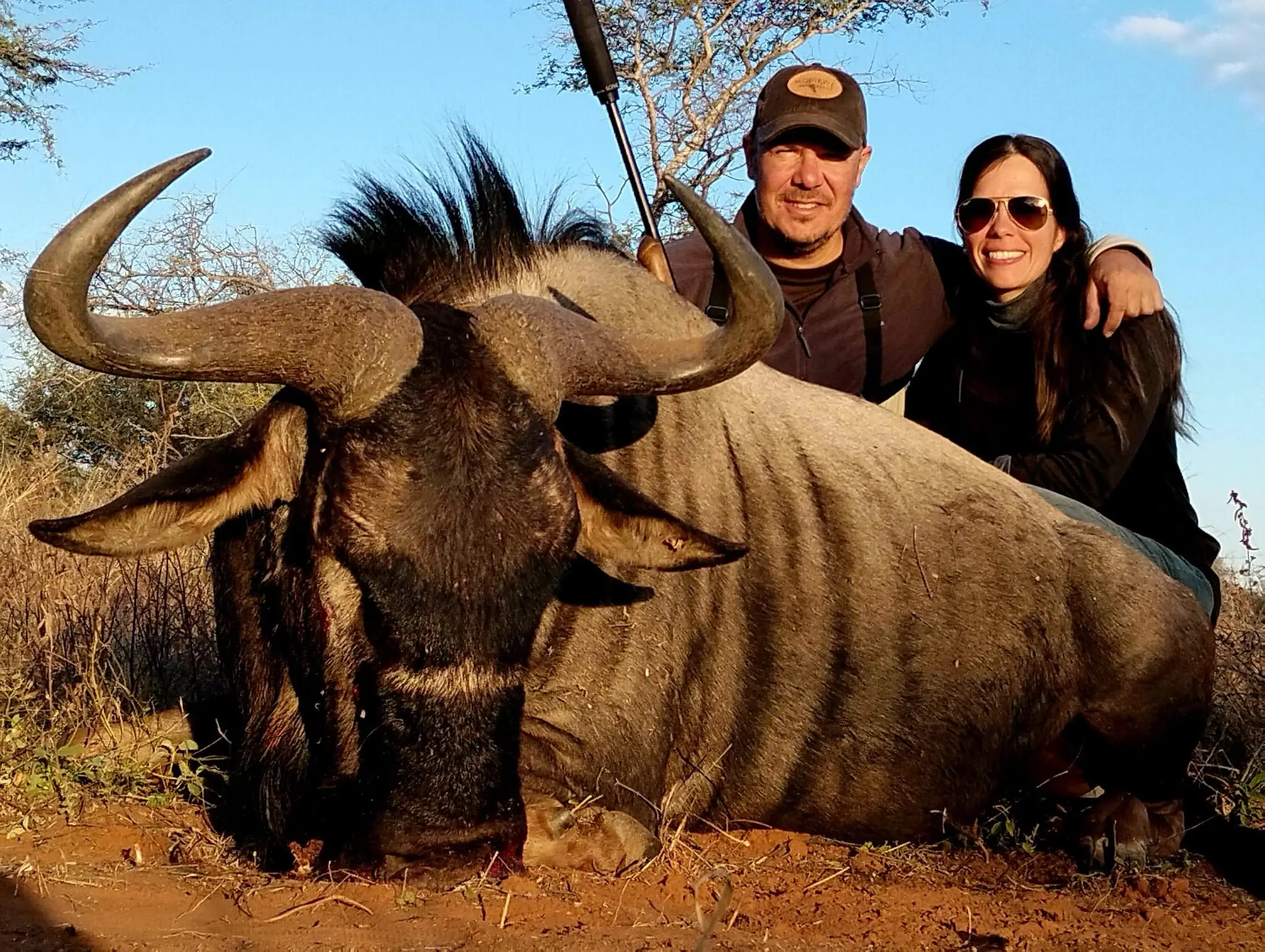 Plains Game Safari in South Africa: Impala, Blue Wildebeest & Zebra gallery image