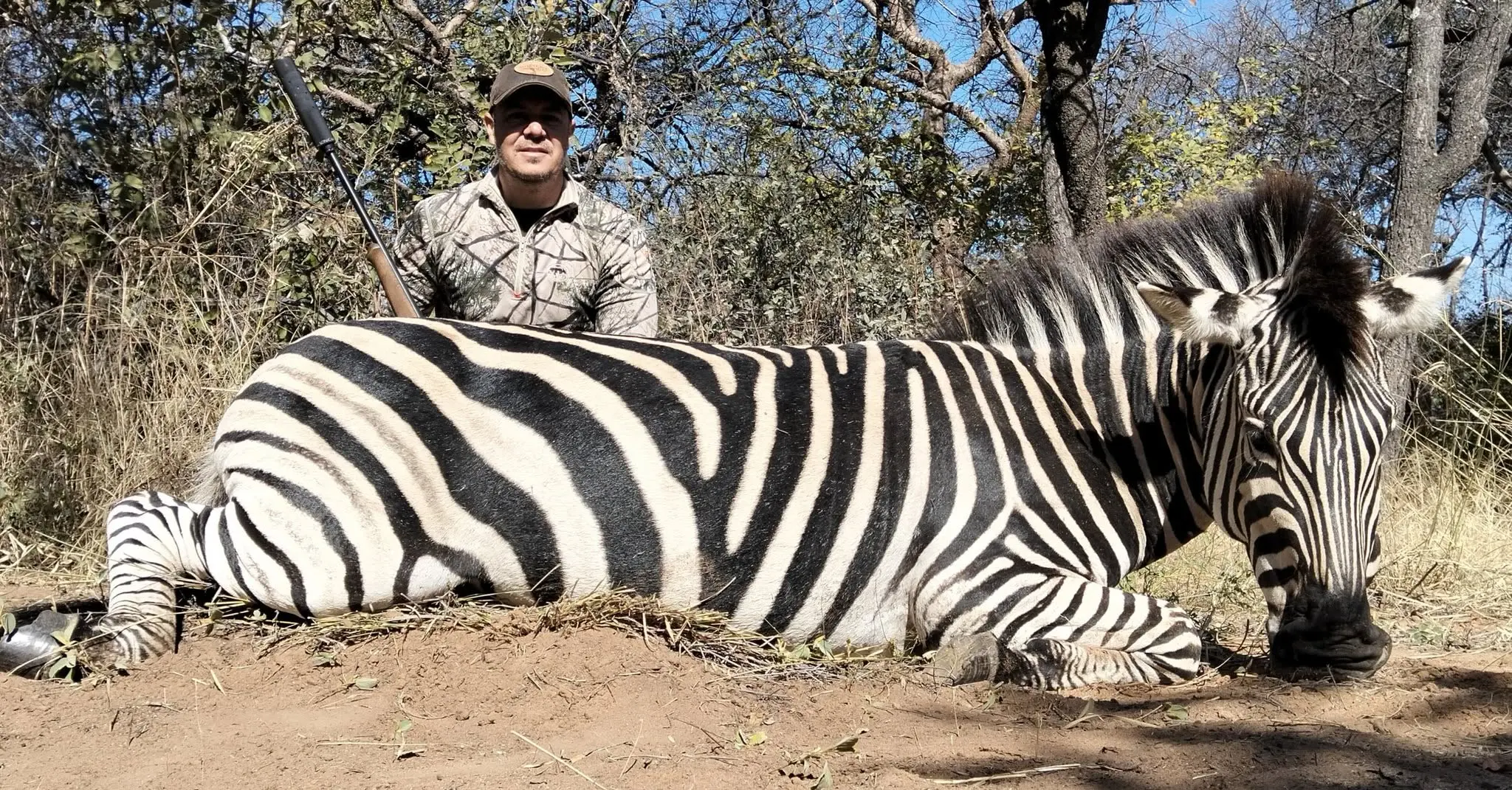 Plains Game Safari in South Africa: Impala, Blue Wildebeest & Zebra gallery image