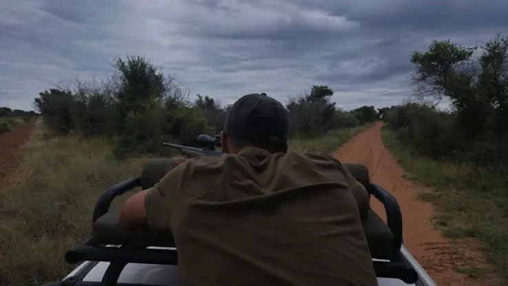 Rifle vs Bow Hunting in Limpopo: Which Safari Experience Is Right for You? gallery image