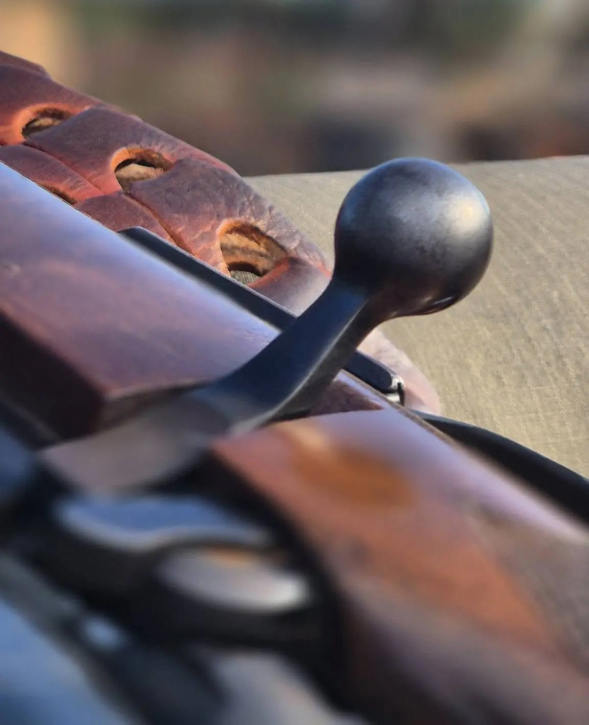 Rifle vs Bow Hunting in Limpopo: Which Safari Experience Is Right for You? gallery image