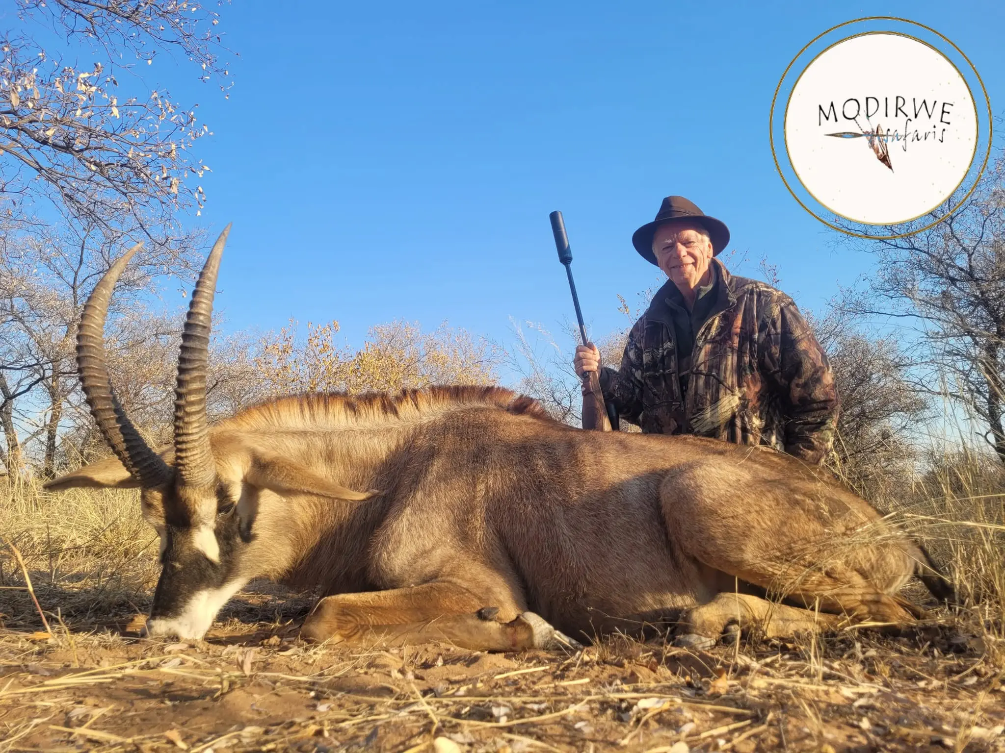 Sable & Roan Antelope in Limpopo: Hunting, Habitat & Conservation Guide gallery image