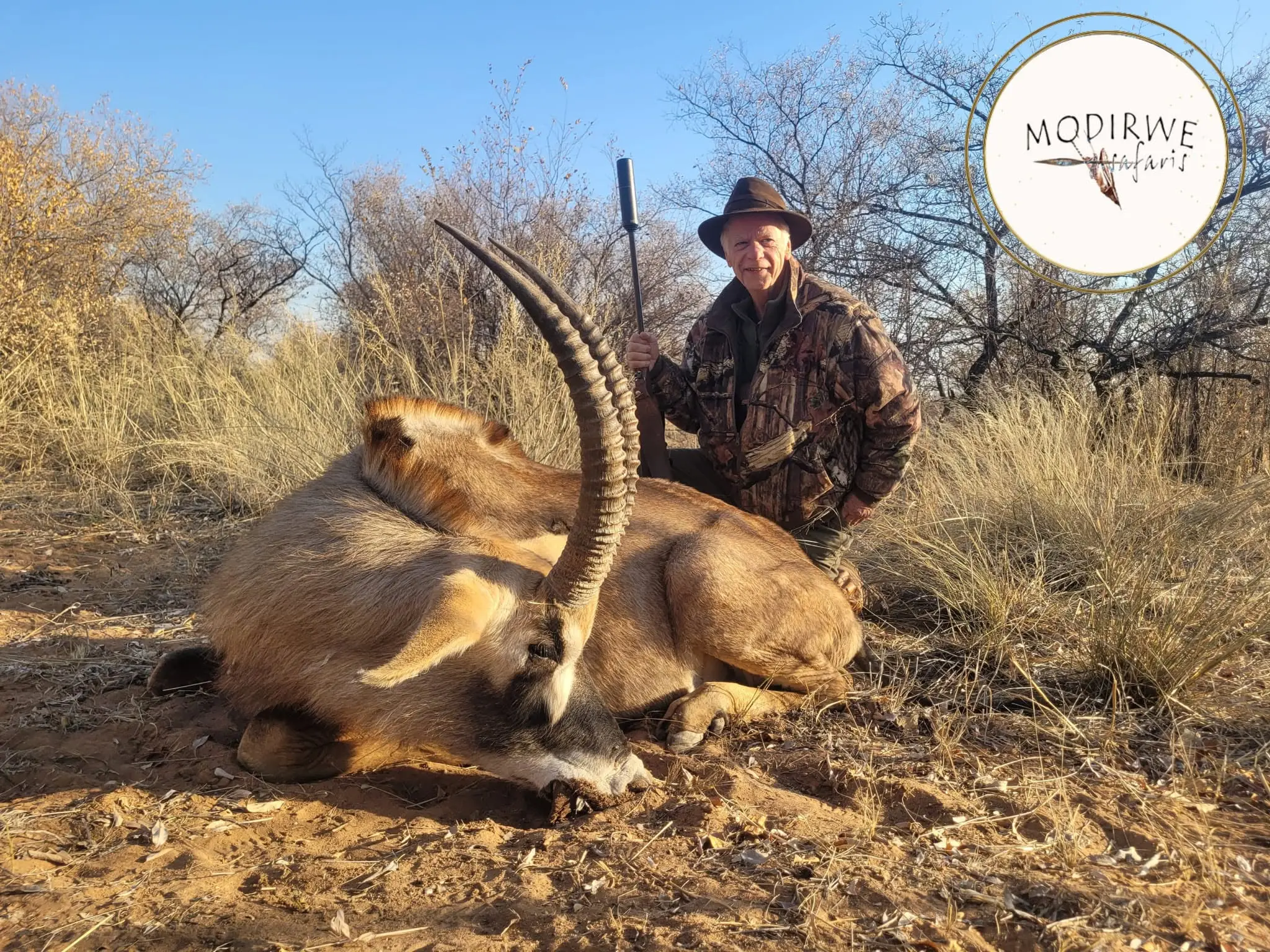 Sable & Roan Antelope in Limpopo: Hunting, Habitat & Conservation Guide gallery image