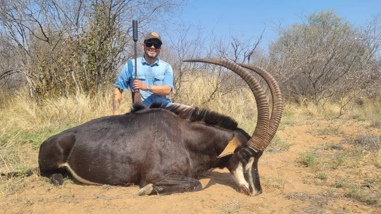 Sable & Roan Antelope in Limpopo: Hunting, Habitat & Conservation Guide gallery image