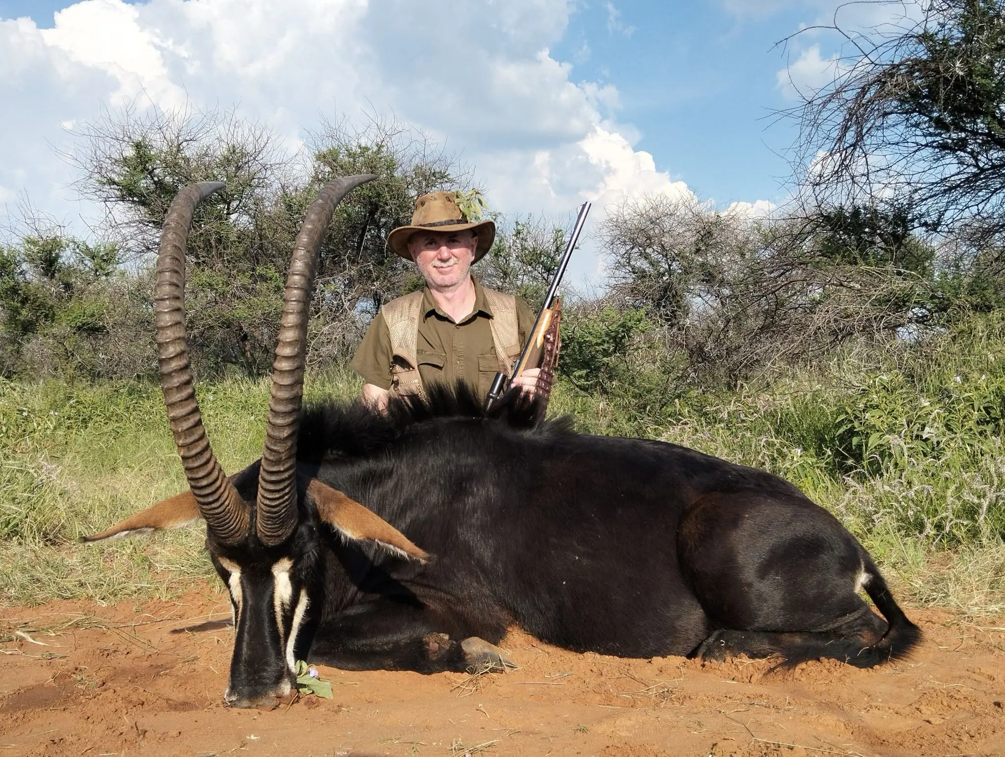 Sable & Roan Antelope in Limpopo: Hunting, Habitat & Conservation Guide gallery image