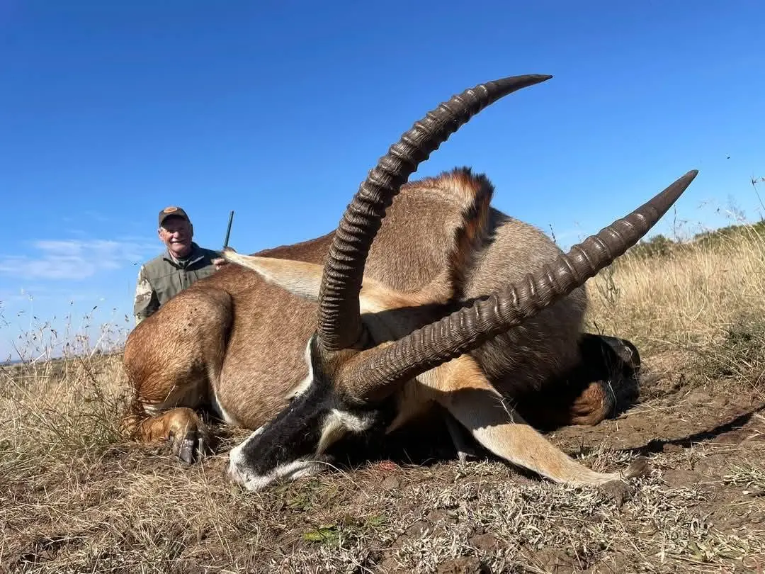 Sable & Roan Antelope in Limpopo: Hunting, Habitat & Conservation Guide gallery image