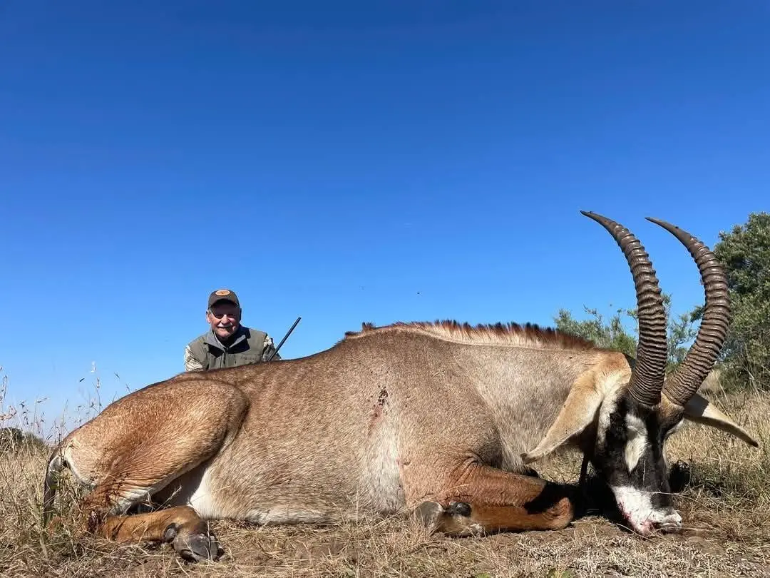 Sable & Roan Antelope in Limpopo: Hunting, Habitat & Conservation Guide gallery image
