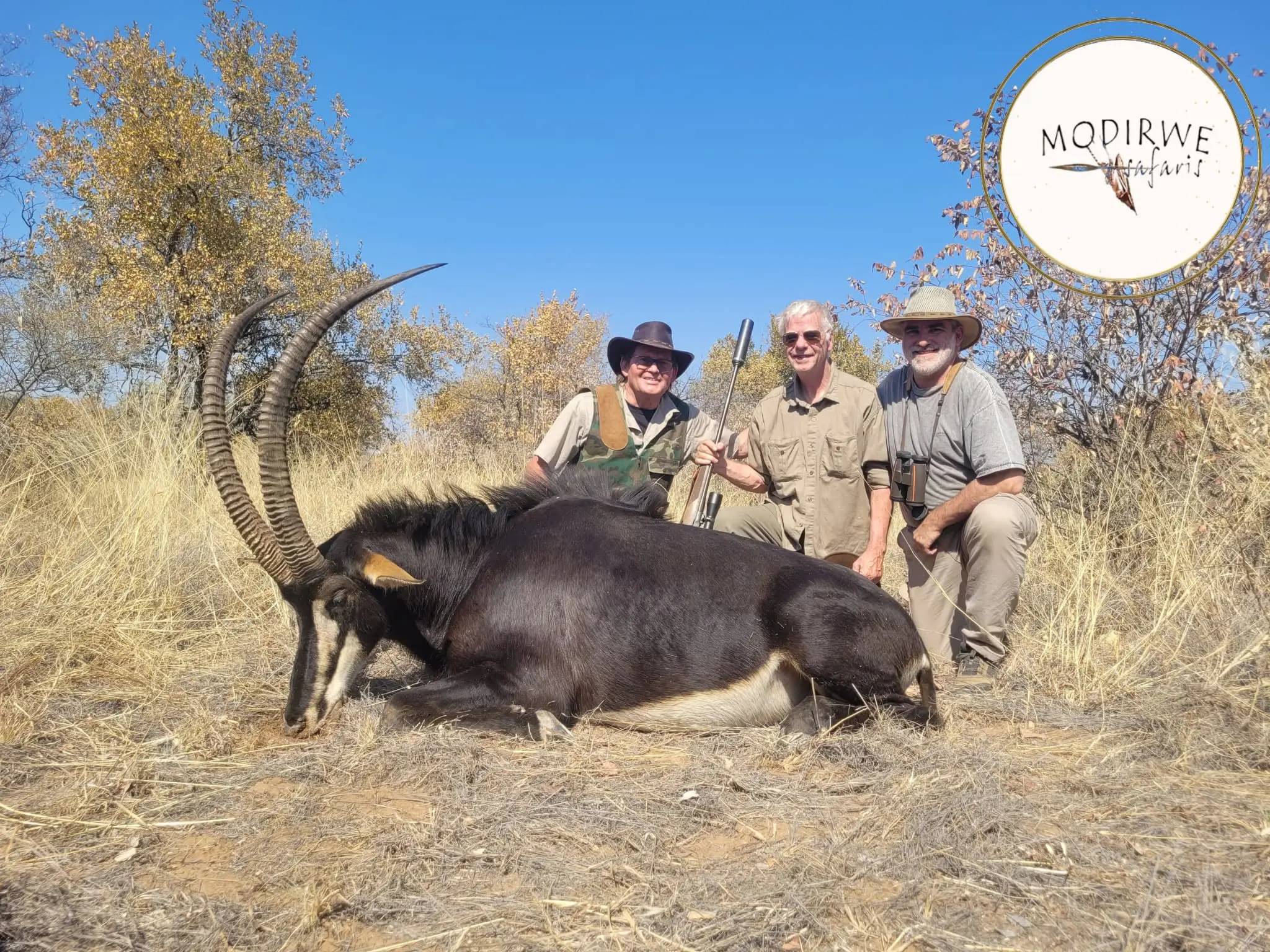 Sable & Roan Antelope in Limpopo: Hunting, Habitat & Conservation Guide gallery image