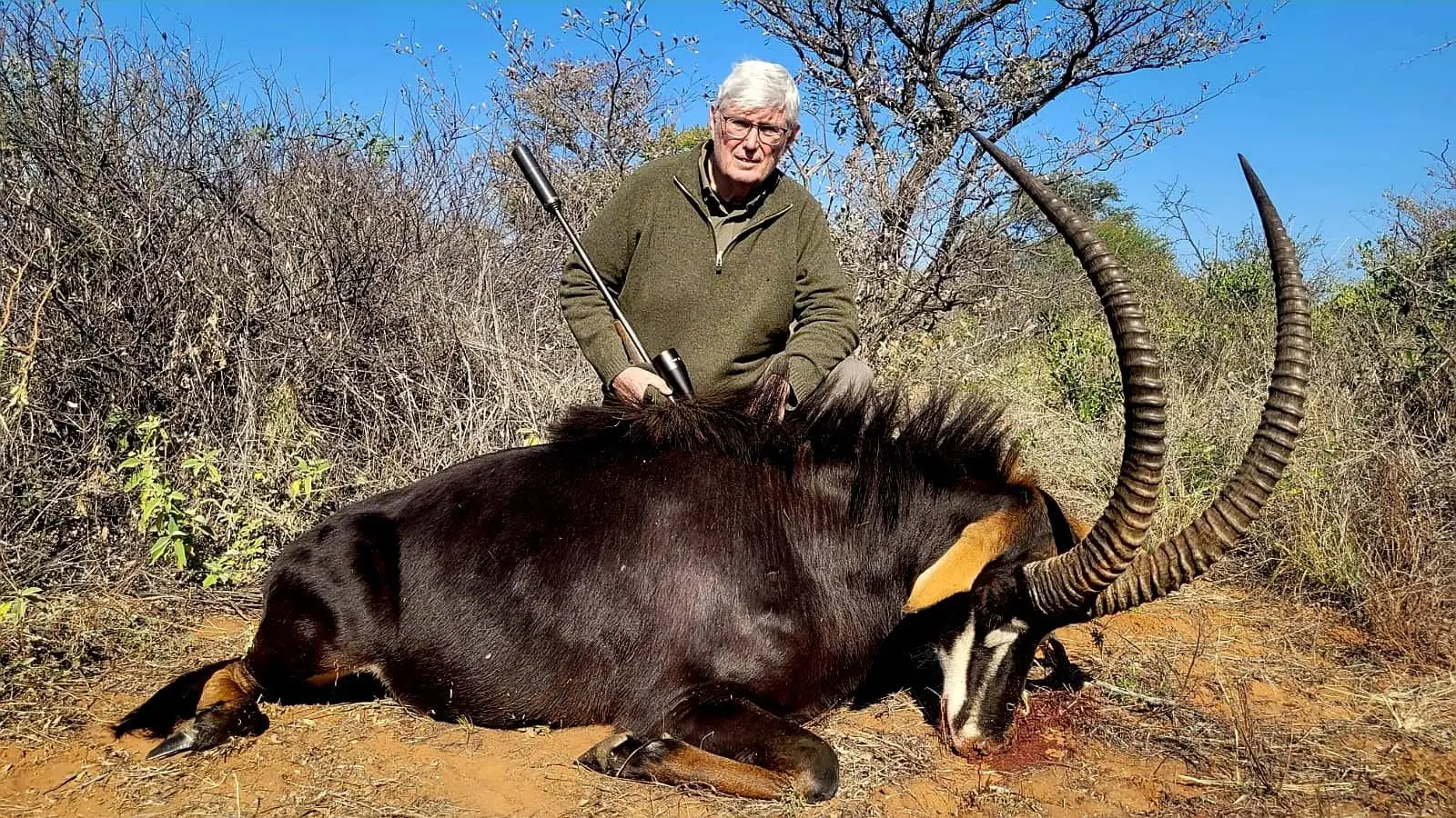 Sable & Roan Antelope in Limpopo: Hunting, Habitat & Conservation Guide gallery image