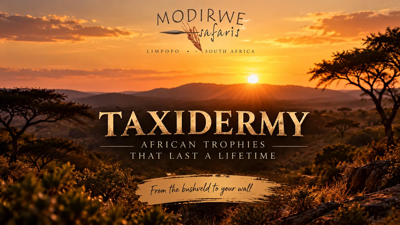 What Happens to Your Hunting Trophy After a South African Safari?
